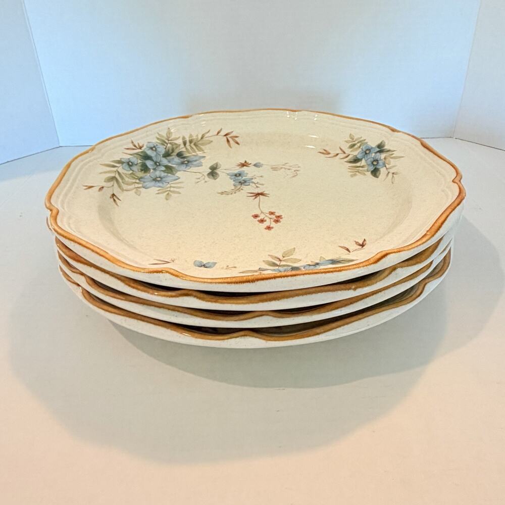 Mikasa Garden Club DAY DREAMS Dinner Plate 11” Set Of (4)